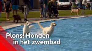 De Onderwerpen in het MAGAZINE: Vrijdag 1 oktober tussen 18 – 20 uur op Radio RTV Lansingerland