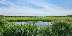 Ontdek en bleef water met Natuurlijk Delfland