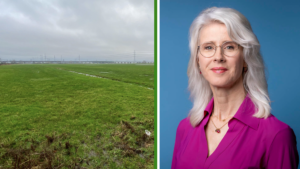 Provincie Zuid-Holland blokkeert woningbouw Bleizo-West: Minister Keijzer wil snelle oplossing