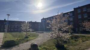 Ayden (11) zet gemeentepolitiek in beweging: hoop op betere speeltuin