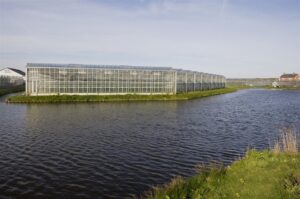 Delfland grijpt stevig in tegen watervervuiling in glastuinbouw