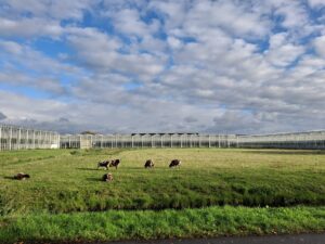 Omgevingsvisie 2.0: bewoners vragen bescherming, politiek zoekt balans