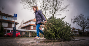 Inzamelen van kerstbomen kan weer geld opleveren voor inwoners