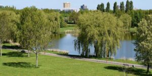 Onderzoek naar Zoetermeer als ‘nationaal park stad’ uitgesteld: meer tijd nodig voor groenplan