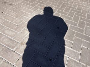 PVV stelt vragen over inburgering in Zoetermeer na landelijke CBS-cijfers
