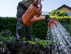Oproep aan inwoners Zoetermeer en Lansingerland: wees zuinig met water