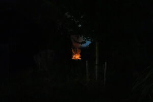 Buitenbrand bij monumentale boerderij zorgt voor flinke rookontwikkeling rond N471 Berkel en Rodenrijs